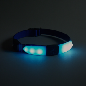 LED Rechargeable Safety Collar