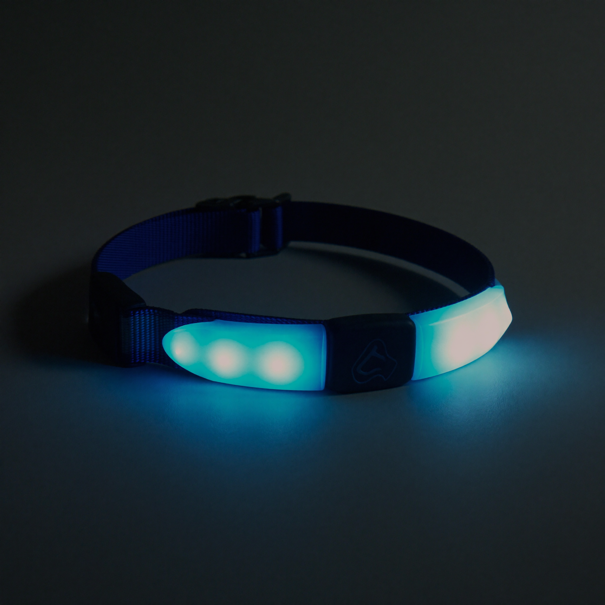 LED Rechargeable Safety Collar